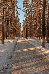 фото "Зимняя аллея..."