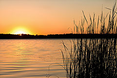 photo "***"
