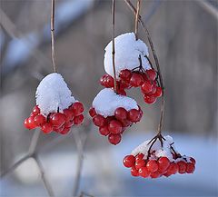 photo "***"