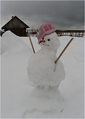 photo "Jolly snowman"