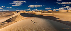 photo "World of Dunes"