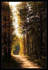photo "Road to light"