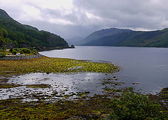 photo "Scotland"