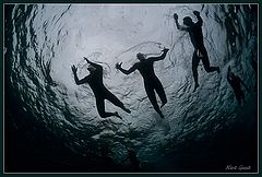 photo "Night dances"