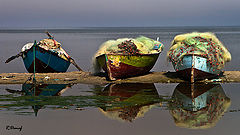 фото "Fishing boats 02"