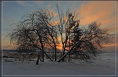 photo "***"