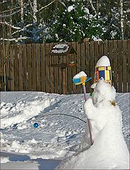 photo "Snowy scarecrow for Jays"