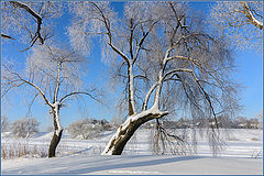 photo "***"