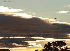 фото "evening"