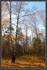 photo "Journey in autumn"