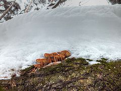 photo "The Ninth Wave"