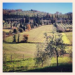 фото "toscana"