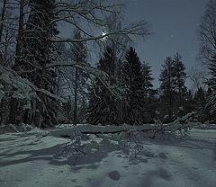 photo "***"