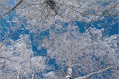 photo "***"