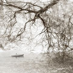 photo "***"