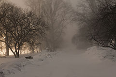 фото "Февраль"