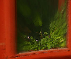 photo "***"