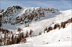 photo "In the Alps"