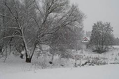 photo "***"