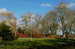 photo "Spring"