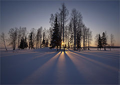photo "Winter Evening / 0206_0082"