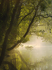 photo "Morning Begins Here"