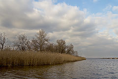 photo "***"