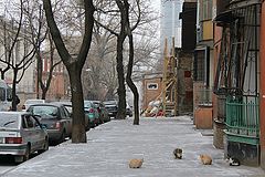 photo "Rostov-on-Don"