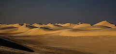 photo "Dunes 07"