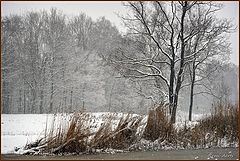 photo "***"