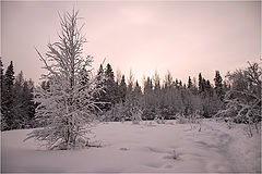 photo "***"