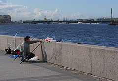 фото "будни многостаночника"