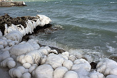 photo "Snowballs"