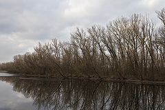 photo "***"