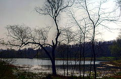 photo "Evening"