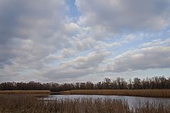 photo "***"