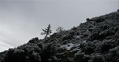 фото "Slope"