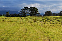 фото "Carrowmore-2"