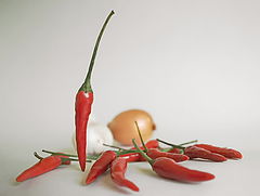 фото "Red hot ;-)"