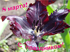 фото "С праздником"