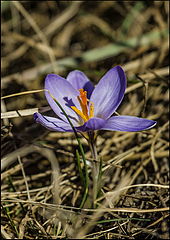 фото "С праздником"