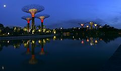 photo "Gardens at the Bay"