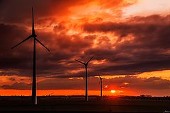 photo "Sunset in Belgium"