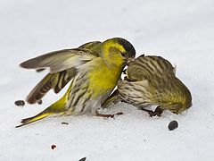 фото "Преступление и...."