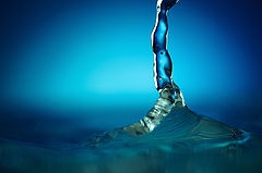 photo "Swimmer"