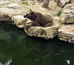 photo "Over the water"