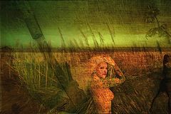 photo "eden"