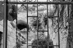 photo "***"