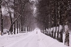 фото "54-е февраля"