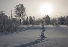photo "***"